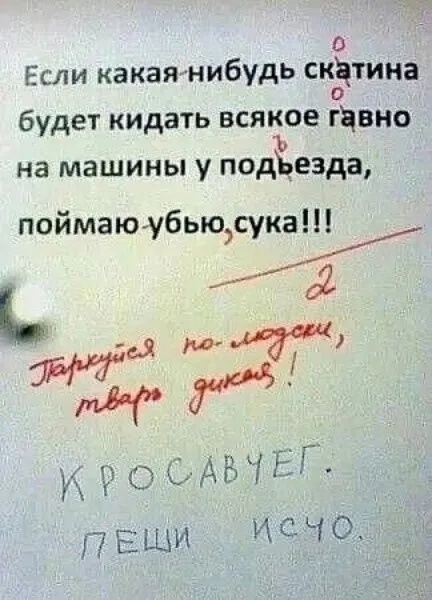 Так себе картинки 22.08.24