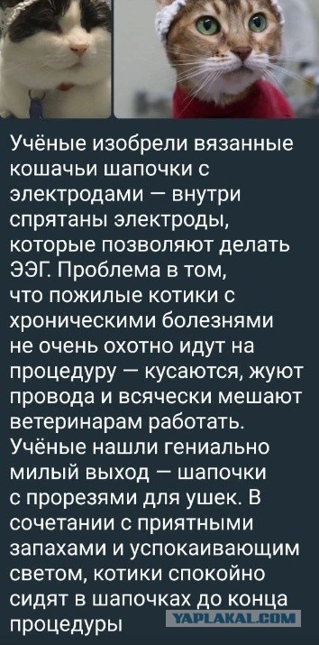 Так себе картинки 01.10.24