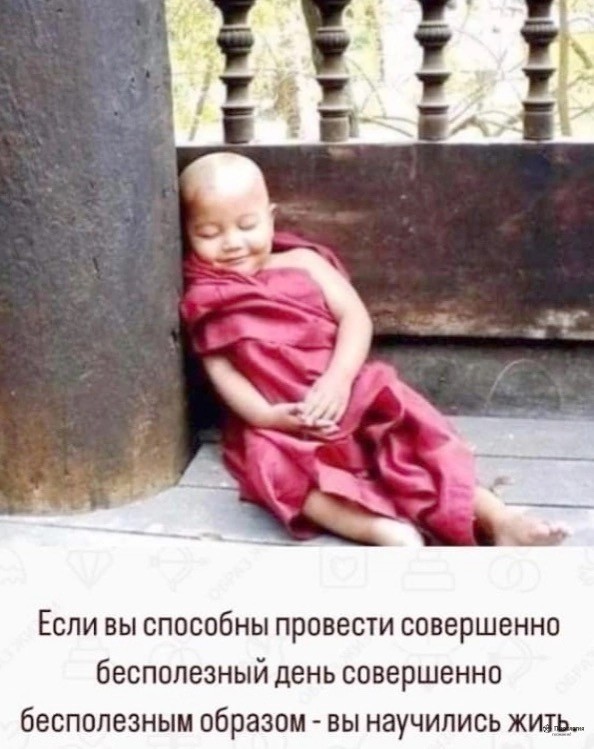 Так себе картинки 22.03.25