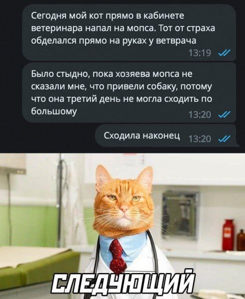 Вылечил собакена