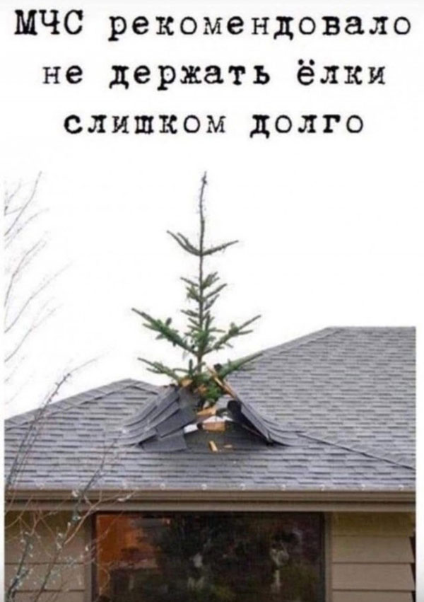 Утро баяном не испортишь
