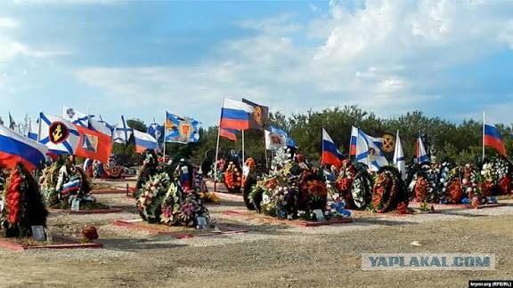 Прижало безденежье? Макс Покровский зарабатывает на жизнь, выступая в американских кабаках