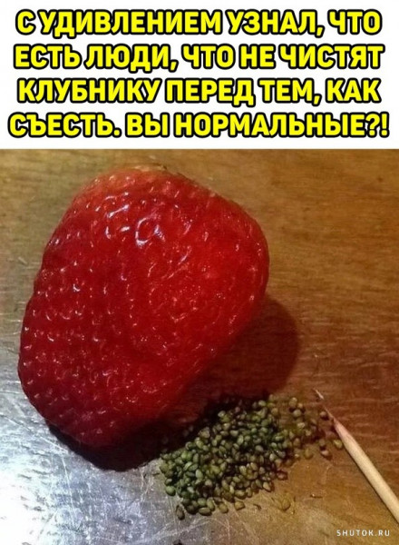 Отборные баяны 10-летней выдержки - ONLY US vol.2