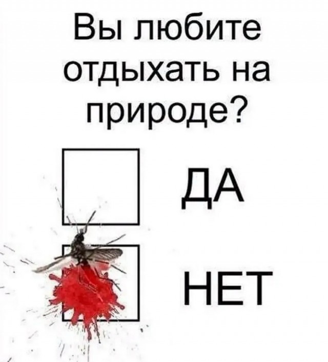 Картиночки, баянчики 25 февраля