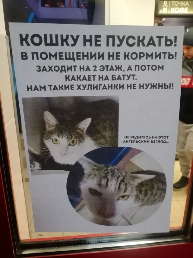 Пост о *непечатно*