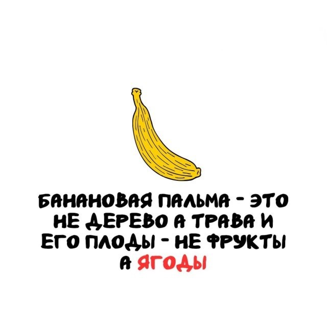 Интересные и короткие факты на все случаи жизни 19.04.26