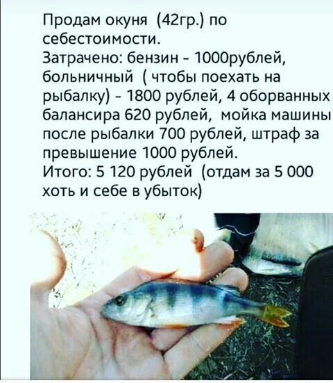 Понадобится неделя.