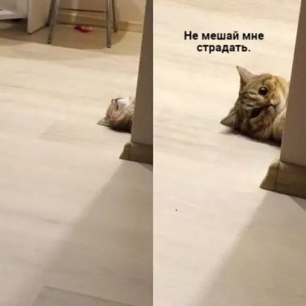 Картиночки, баянчики 30 мая