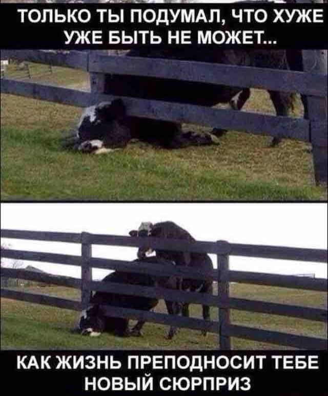 Застрял. Или встрял?