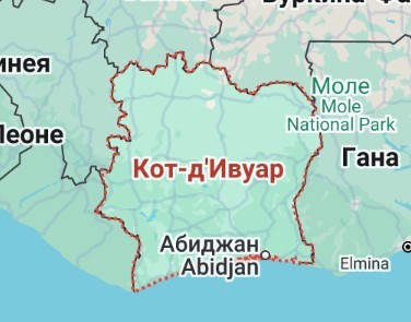 Дадим котику имя, коллеги?