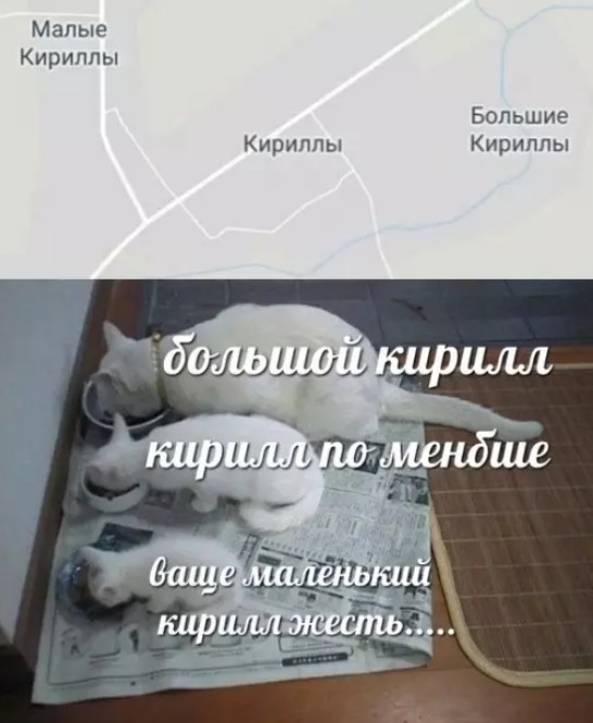 Картиночки, баянчики 25 июля