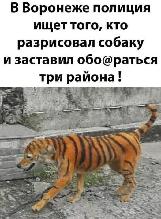 Картинки на среду