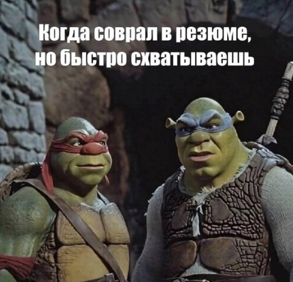 Картинки для деградации 260 (разной степени свежести)