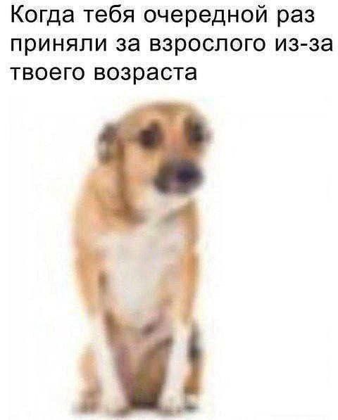 Психомемы-10