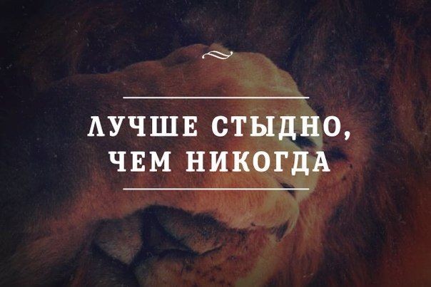 СТЫД