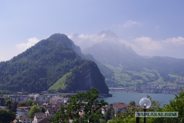 В поисках музея ПрофессораПлейшнера