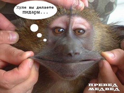 Что закрыли на афише?