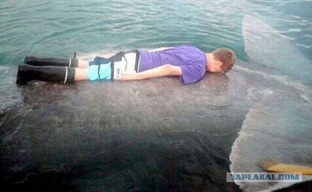 11 самых популярных фотомемов в интернете