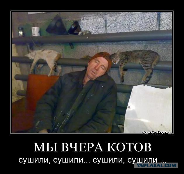 Визуализируем свои ники!