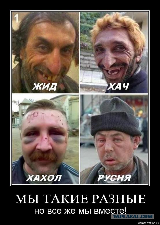 Украинские приколы.