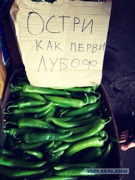 Фотки из интернета.