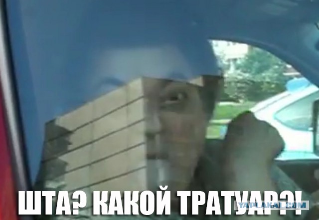 СтопХамСПб - Крутые ребята