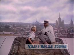 Ковры в соц-сетях