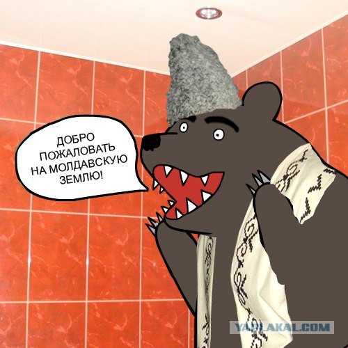 Медведи почти на все случаи жизни