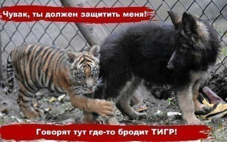 Прикольные картинки на понедельник .