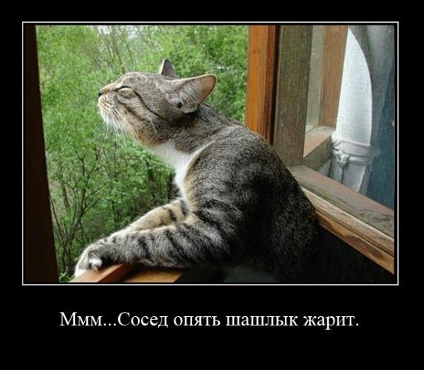 Прикольные картинки на понедельник .