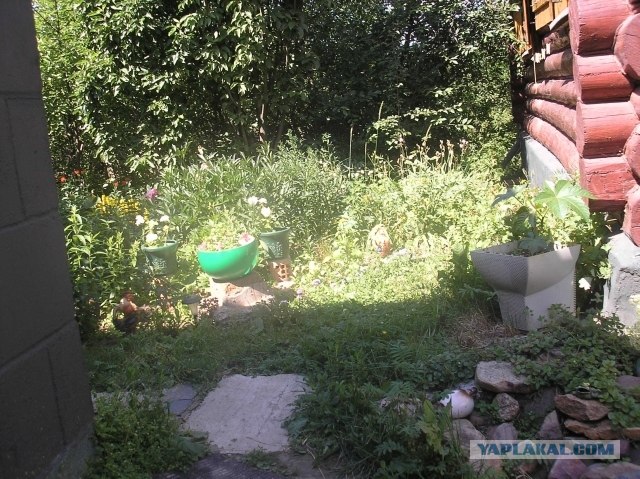 Вторая жизнь утиля