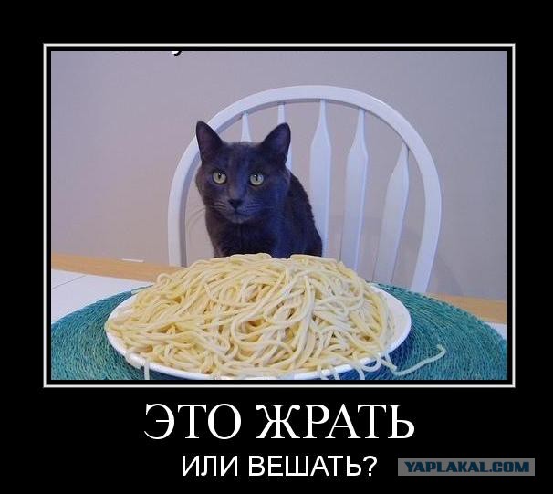 Демотиваторов пост