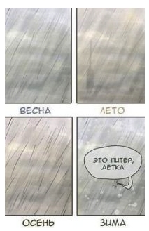Москва VS Питер.