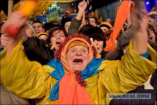 Забористый план у них созрел