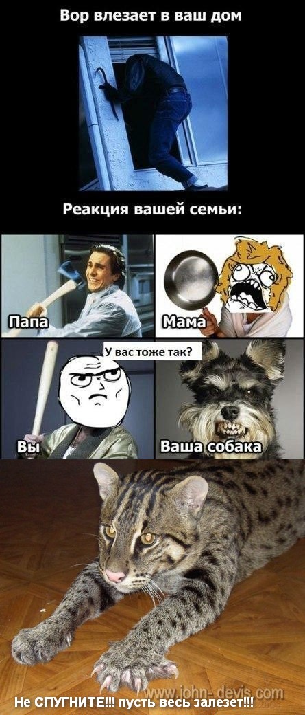 Что делают члены семьи если квартиру грабят