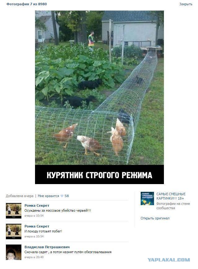 Немного картинок с просторов