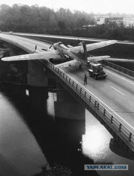 Веселые картинки