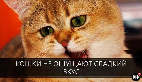 25 интересных фактов.