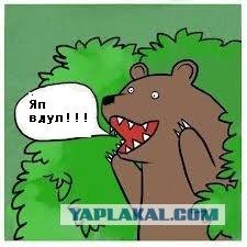 Учительница математики из американской школы