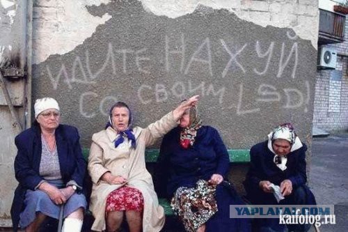 Когда и стены учат Дзену