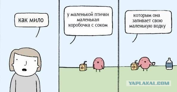 Прикольные фото и картинки
