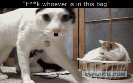 - За что?! - Было б "за что" - вообще убил бы!