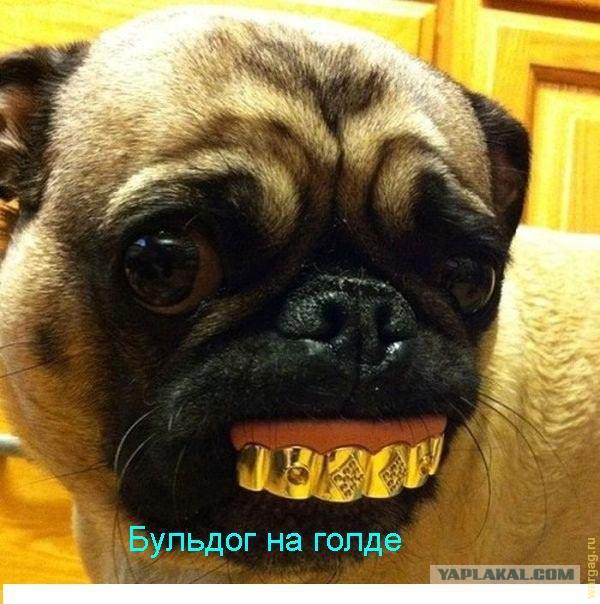 Чуть-чуть танков WoT
