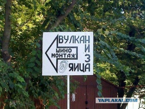 25 фото, картинок и историй.