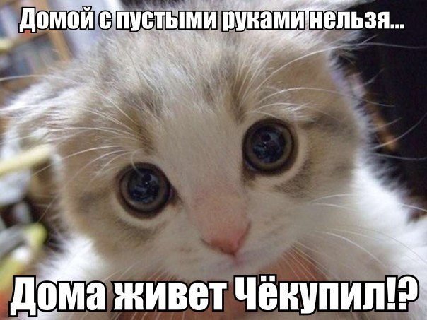 Немного картинок и демотиваторов