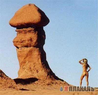 Эта сексуальная природа. РАСТЕНИЯ, ПЕЙЗАЖИ