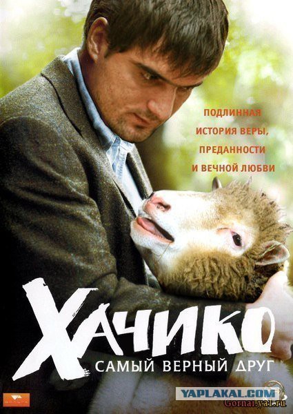 Вектор Движения №97