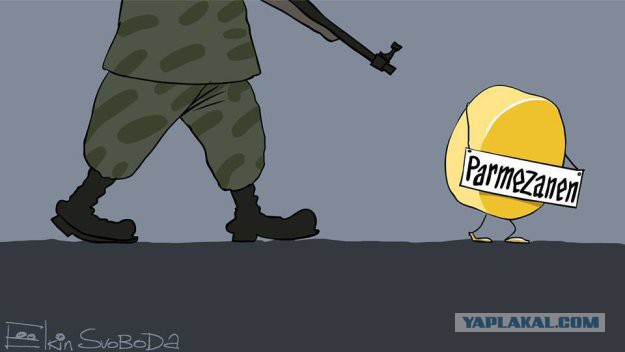 30 тонн польских грибов - всмятку!