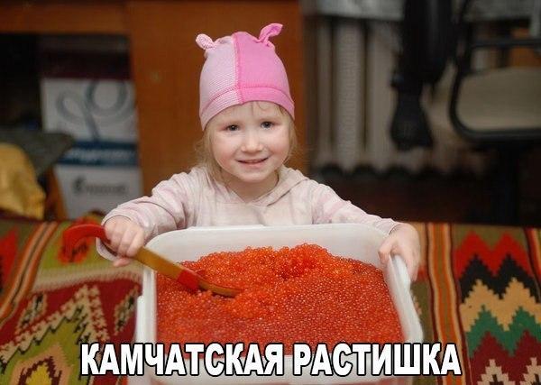 Подборка прикольных картинок