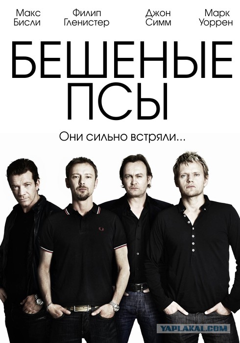 Лучшие идиоты в кино